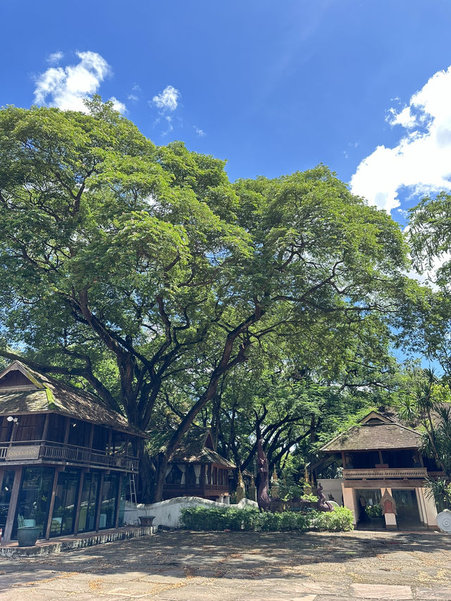 📍ดาราเทวี คาเฟ่ โรงแรมในตำนานของชาวเชียงใหม่