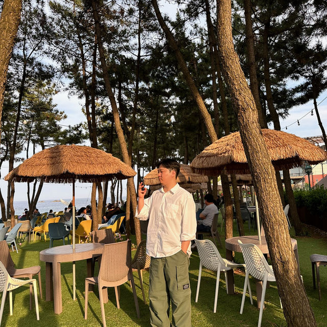 속초카페거리 데이트 바다 앞 솔밭 거닐기