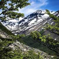 Into the Wild: Trekking Through the Majestic Torres del Paine