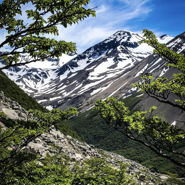 Into the Wild: Trekking Through the Majestic Torres del Paine