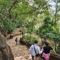 The Marble Mountains : ภูเขาหินอ่อน