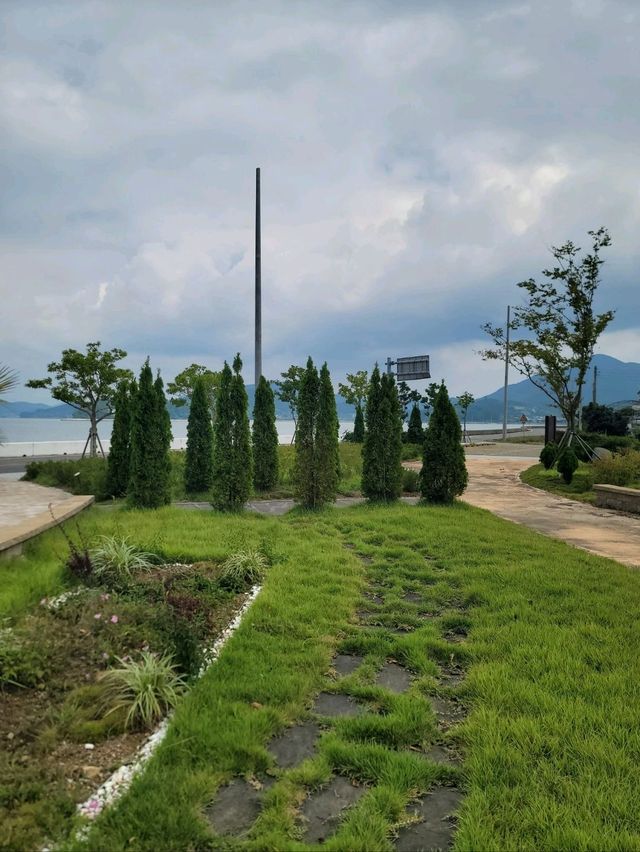 가을이 성큼 다가온 남해 팜파스명소🧡