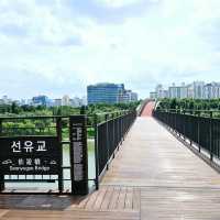 Seonyudo Park: A Green Oasis in the City