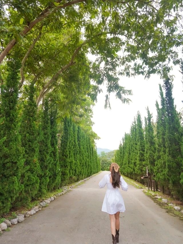 เที่ยวกัน