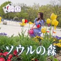 【韓国】心がリラックスできるソウルの森チューリップ