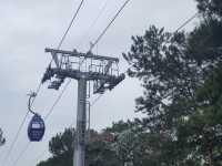🌲Dalat Cable Car 🚠 