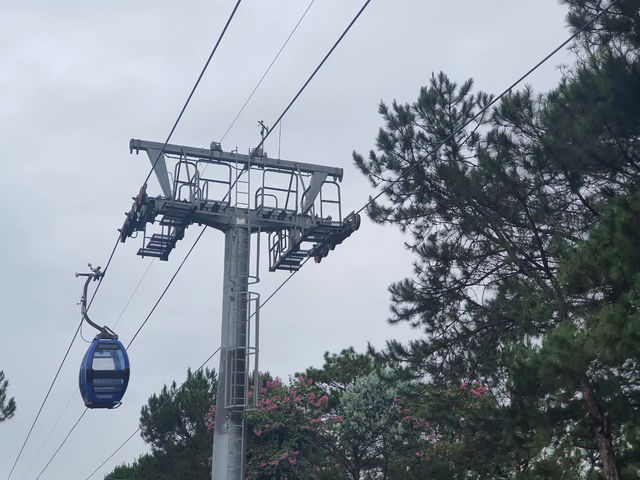 🌲Dalat Cable Car 🚠 