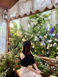 《深圳絕美繡球花咖啡店》
