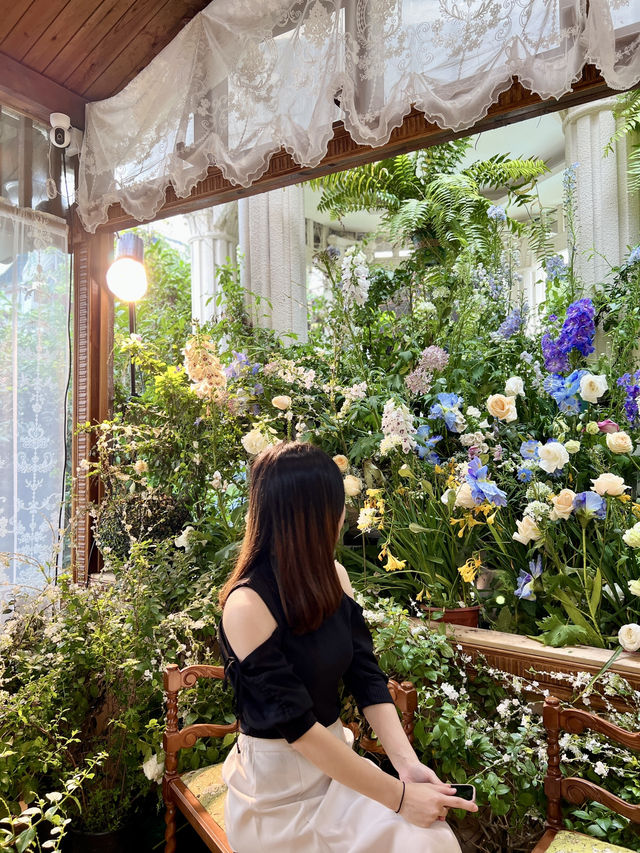 《深圳絕美繡球花咖啡店》