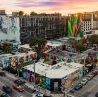 The Vibrant Street Art of Wynwood Walls