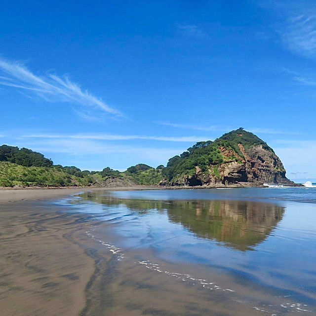 Auckland’s West Coast Beaches: Piha and Muriwai