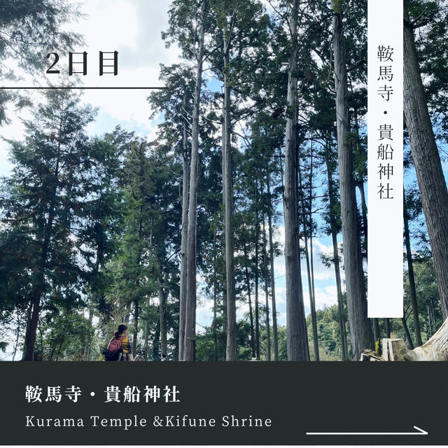 【京都】大人なのんびり旅✨3泊4日🎋