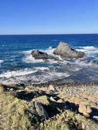 【完全保存版】北の最果て礼文島２泊3日の旅プラン✨