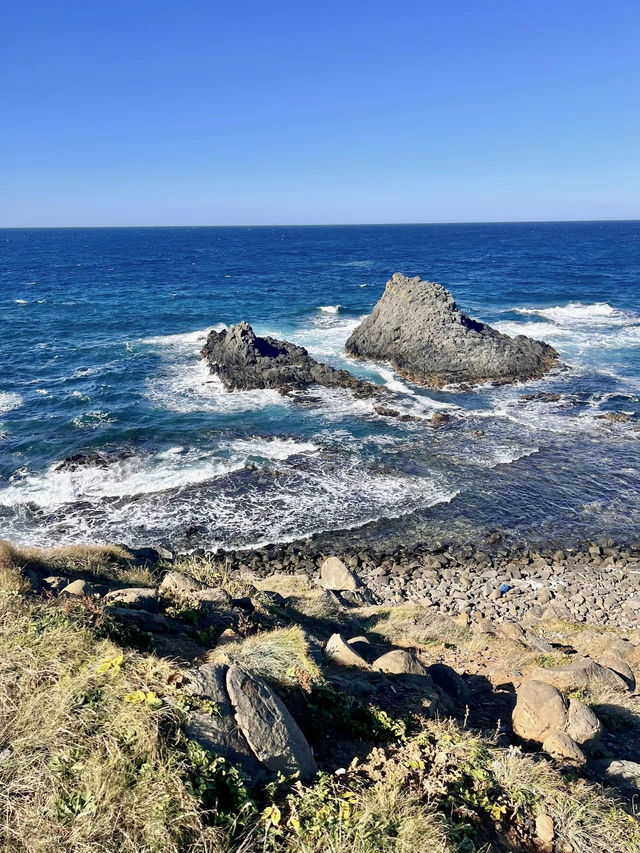 【完全保存版】北の最果て礼文島２泊3日の旅プラン✨
