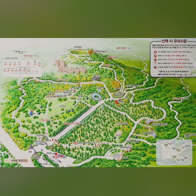 Jeolmul Natural Recreation Forest