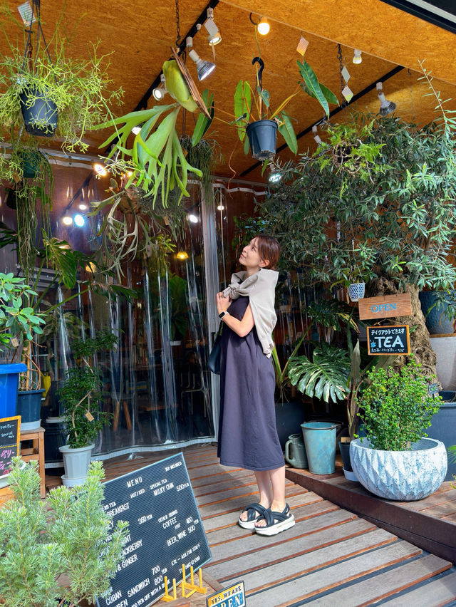 「北鎌倉」超穴場!植物に囲まれる幸せ空間カフェ☕️✨ 「北鎌倉」超穴場!植物に囲まれる幸せ空間カフェ☕️✨