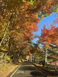 【山梨】富士山のほとりで秋満喫🍂