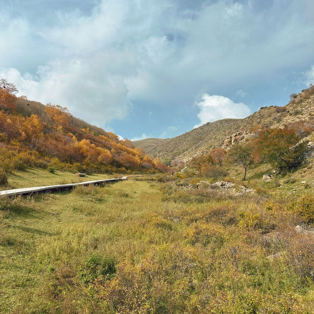 哈達門高原牧場：秋色宜人的自然天堂 🍂🐑