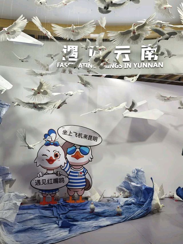 「昆明長水國際機場：花卉展示、恐龍裝置，感受昆明之美」