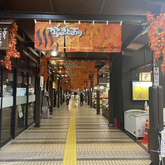 【新潟/湯沢】足湯もあるよ‼︎越後湯沢駅とその周辺をご紹介
