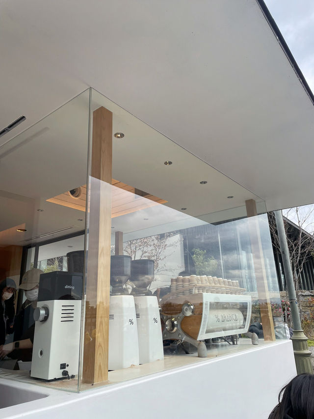 Morning Magic in Arashiyama: Bamboo Trails, River Serenity, and the Perfect Coffee Break
