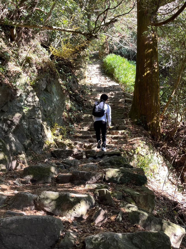 【福岡】太宰府市と筑紫野市にまたがる山