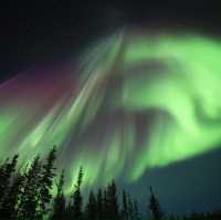 ซักหนึ่งครั้งที่ Yellowknife 