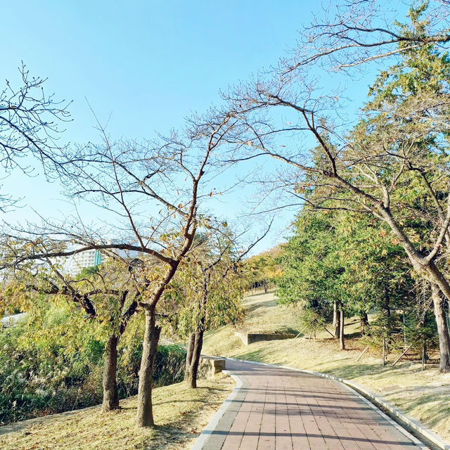 Bomunho Lake 