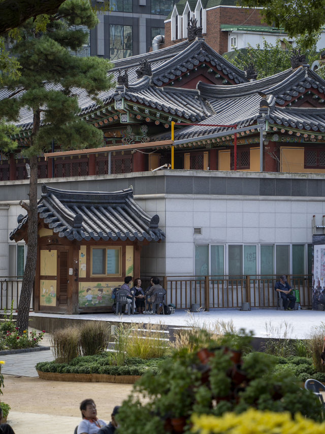 Extremely Instagramable Buddhist Temple in Downtown of Seoul 