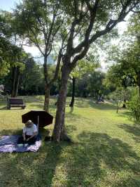 "深圳蓮花山風箏廣場：野餐放風箏的天堂" 🪁🌳🧺