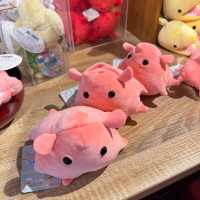 可能係世一嘅水族館⋯⋯四國