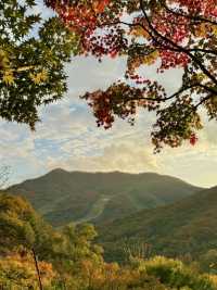 🍁고즈넉한 오솔길을 따라 단풍의 향연을 감상할 수 있는 ✨가을 여행지 추천 🍁