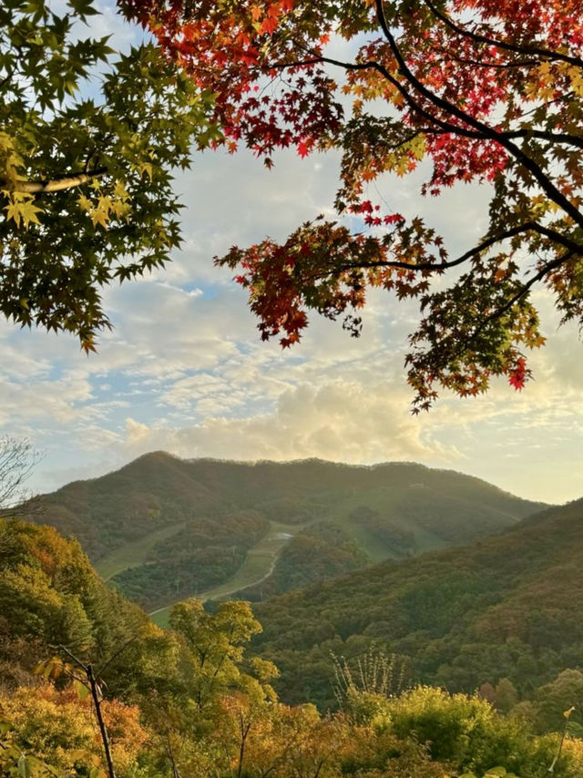 🍁고즈넉한 오솔길을 따라 단풍의 향연을 감상할 수 있는 ✨가을 여행지 추천 🍁