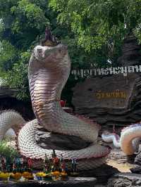 วัดป่าปากโดม @พิบูล