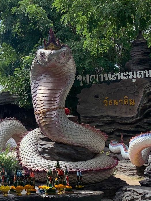 วัดป่าปากโดม @พิบูล
