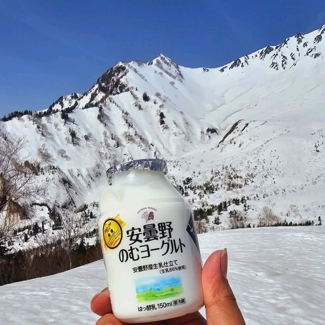此生必看立山雪壁，黑部立山壯麗景緻與雪之奇觀。