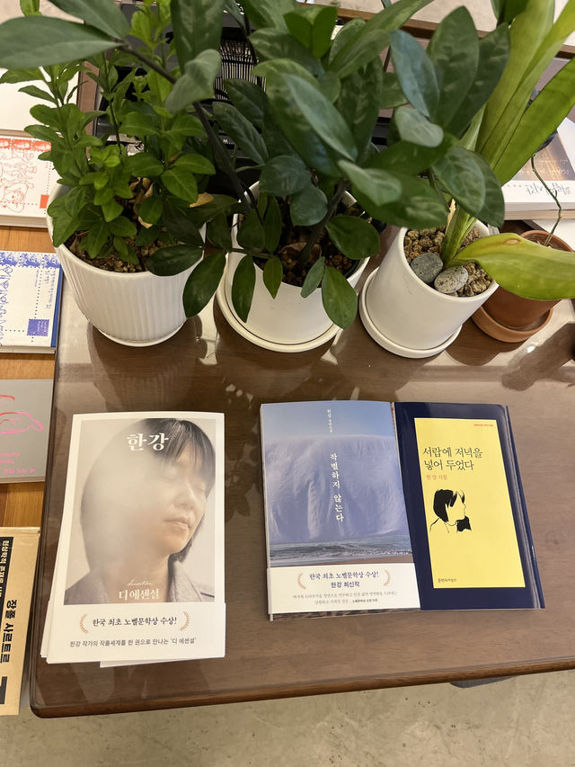 대구 독립서점 실내데이트