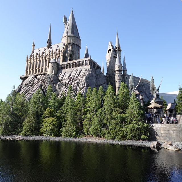 Potterhead's Dream!✨🪄🧙‍♂️