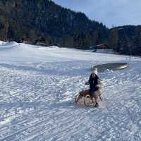 歐洲最美小鎮阿爾卑巴Alpbach