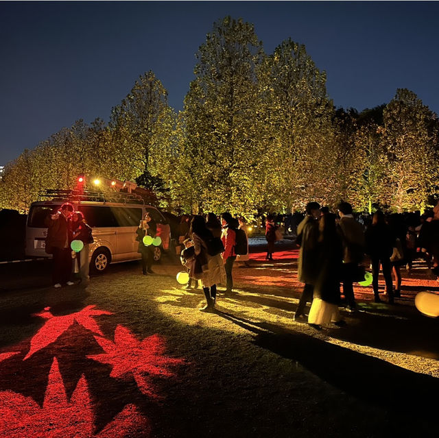 อุทยานแห่งชาติชินจูกุเกียวเอน(งาน light up autumn)