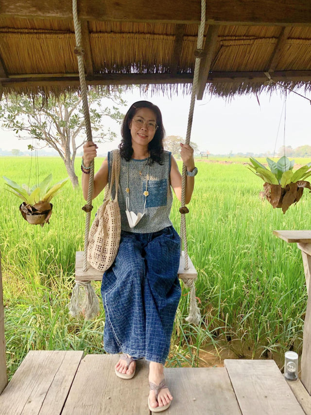 🌿 นาข้าว คาเฟ่