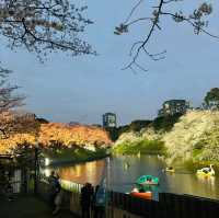 東京景點｜暢遊東京都心的綠洲—皇居外苑．千鳥之淵