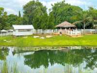 Bucolic Khaoyai 🎥🕹️