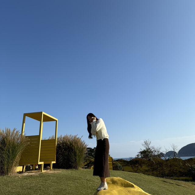 거제도의 숨은 포토스팟, 바람의핫도그 뒤 노랑버덩💛 동화 속 풍경을 만나다