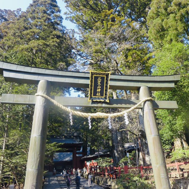 Pathway to Serenity: Strolling Through Nikko’s Ancient Cedars