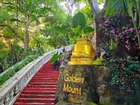 สักการะภูเขาทอง สถานที่ศักดิ์สิทธิ์กลางกรุง  🛕✨️