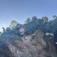 【TDS】✳︎初級編✳︎Fantasy Springsで1日漫喫するなら情報戦⭐︎