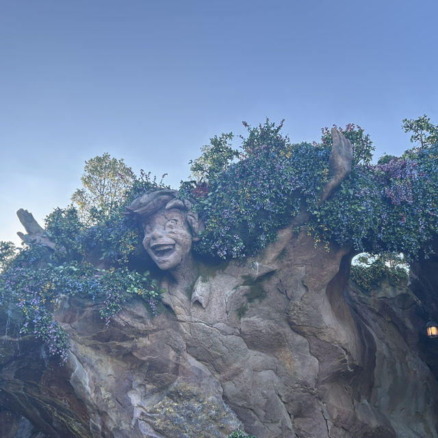 【TDS】✳︎初級編✳︎Fantasy Springsで1日漫喫するなら情報戦⭐︎