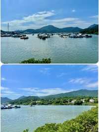 【西貢】蕉坑自然教育徑：星級自然美景，適合初心者的行山徑