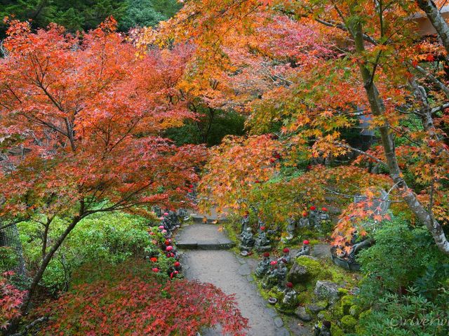 【広島県】世界遺産の安芸の宮島の古刹！紅葉絶景の大聖院